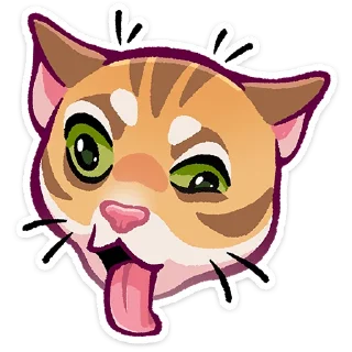🐱