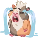 😭