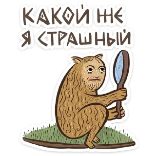 😺