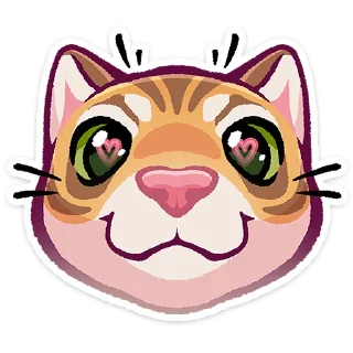 🐱