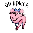 🤩