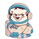 ⭐