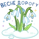 ⭐