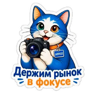 📷