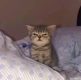 😠