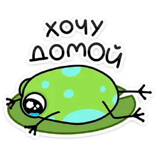 ⭐
