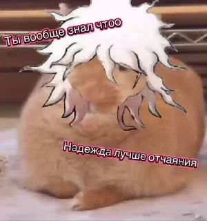 🌟