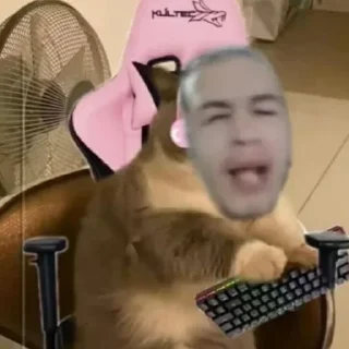 😏
