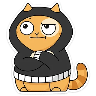 🐱