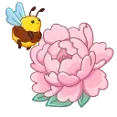 🐝