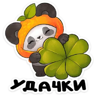 🐼