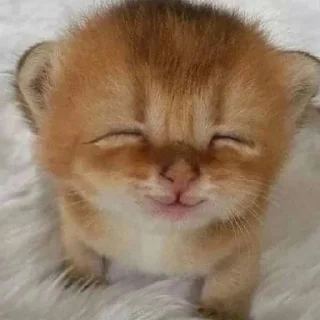 🥰