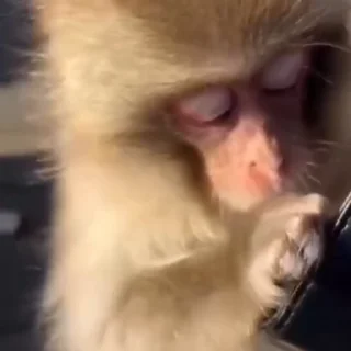 💰