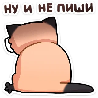 🐱