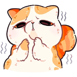 🐱