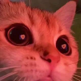 😍