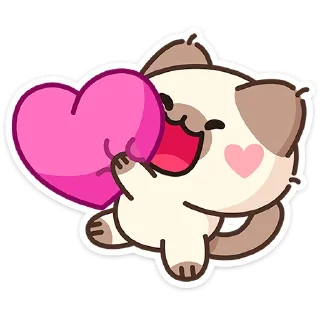 🐱