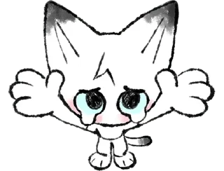 🐱