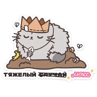 🐱