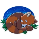 😴