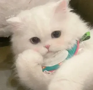 😊