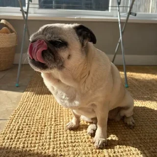 😛