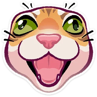 🐱