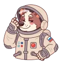 ⭐