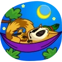 😴