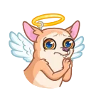 😇