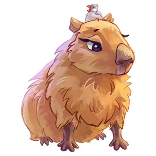 ⭐