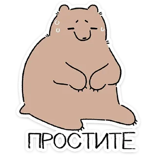 🐻