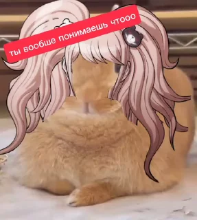 🌟
