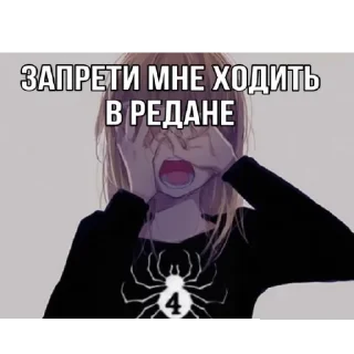 🕷️