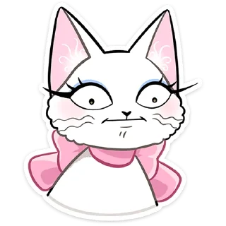 🐱