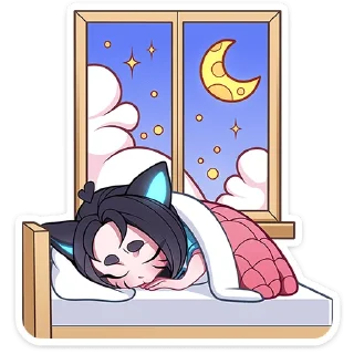 ✨
