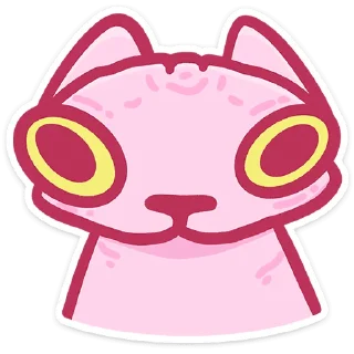 🐱