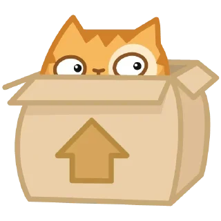 📦