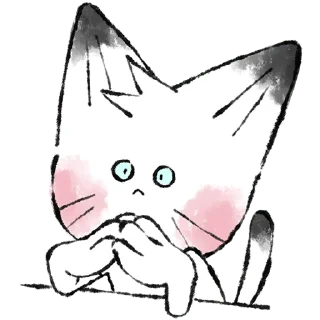 🐱