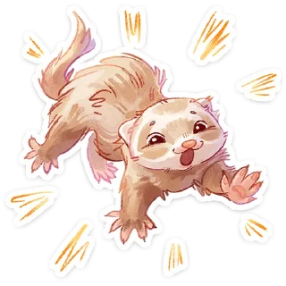 ⭐