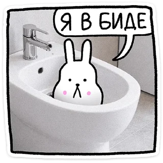 🐰