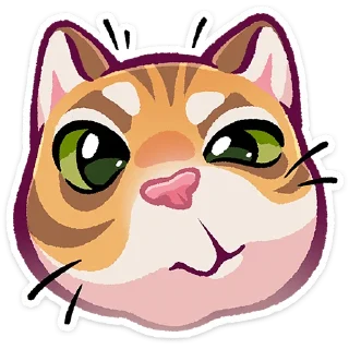🐱