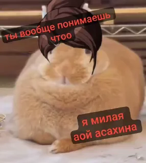 🌟