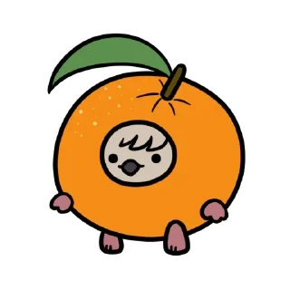🍊