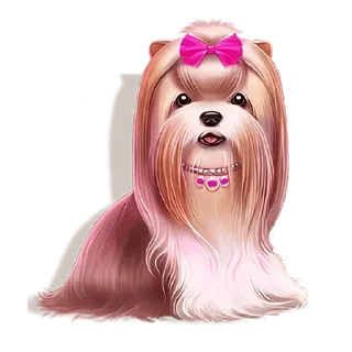 🐶