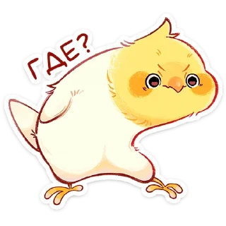 🐣