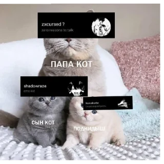 🤕