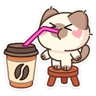 🐱