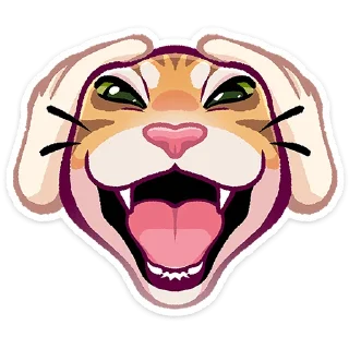 🐱
