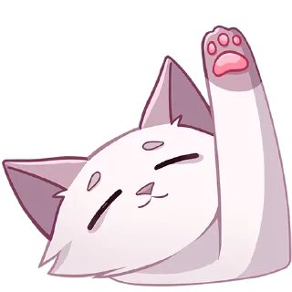 🐾